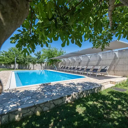 Armitage * Privlaka (Zadar)
